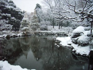 甘泉園の雪景色 甘泉園の雪景色